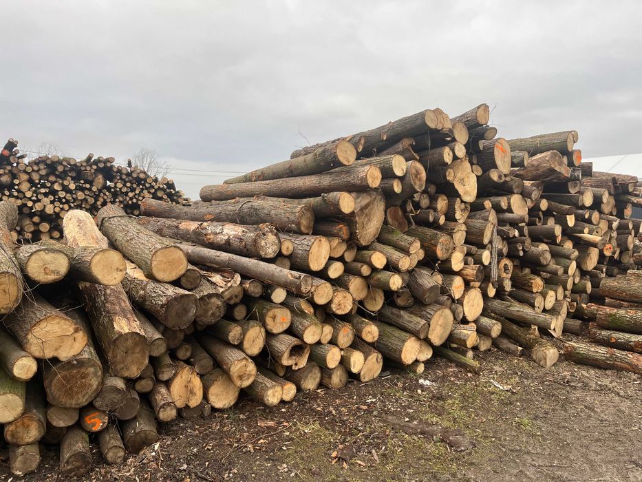 Drewno opałowe, kominkowe wałki