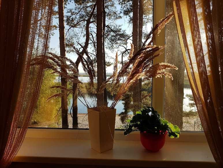 Подобова оренда сучасного будинку на березі Дніпра в сосновому лісі.