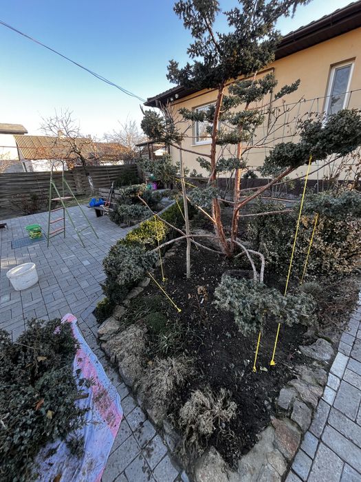 Обслуживания садочка _topiarnyyestrizhki_07?