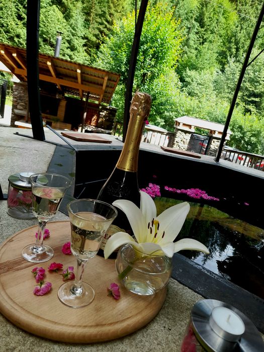 Відпочинок в Карпатах Екосадиба-чан