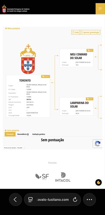 Cavalo poldro PSL