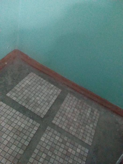 Мозаика натуральная