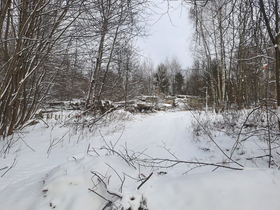 Unikatowy teren inwestycyjny 9 672 m² z historią fermy drobiu - Widok 3