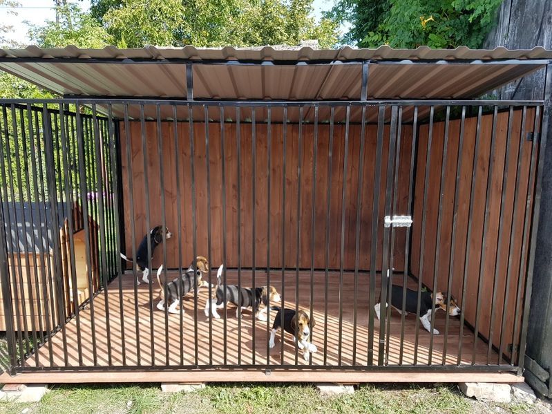 Kojec Klatka Zagroda Buda dla psa 3mx2m Montaż Gratis Solidny