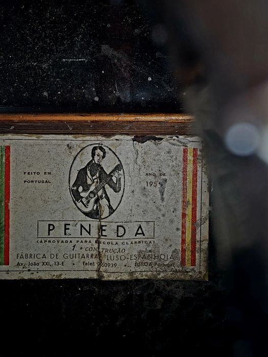Viola de Fado de 1954
