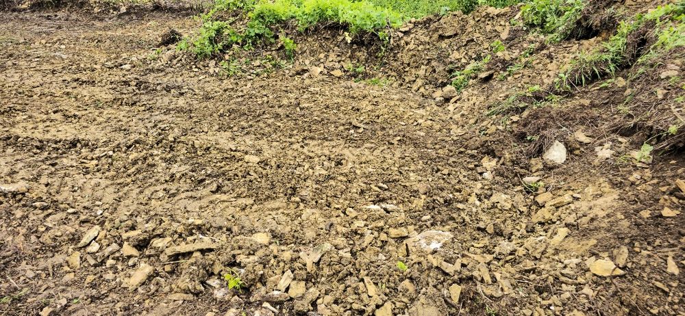 Oddam za darmo ziemię