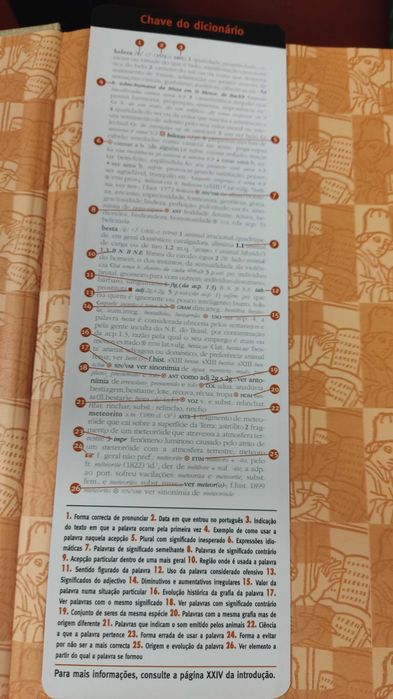 Dicionário da Língua Portuguesa o Original