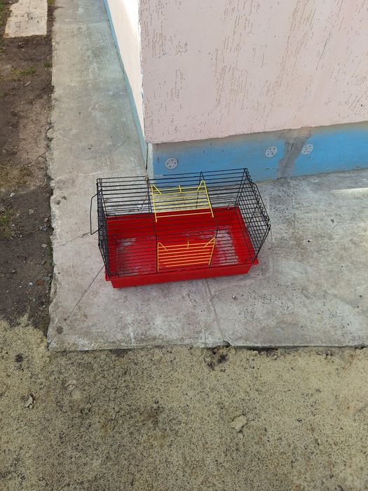 Клітка для їжака,кроля,свинки морської,криси.: 550 грн. - Зоотовари ...