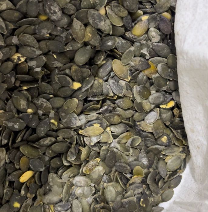 Насіння голосімянного гарбуза