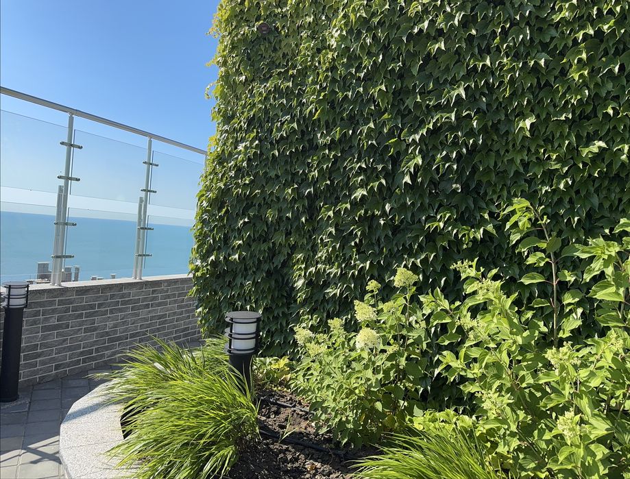 Аркадия!ЖК АТМОСФЕРА с терассой с панорамой  моря +паркинг !