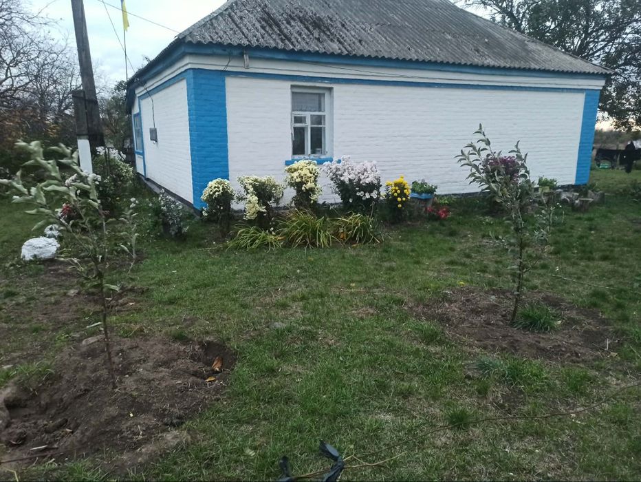 Нерухомість, будинок
