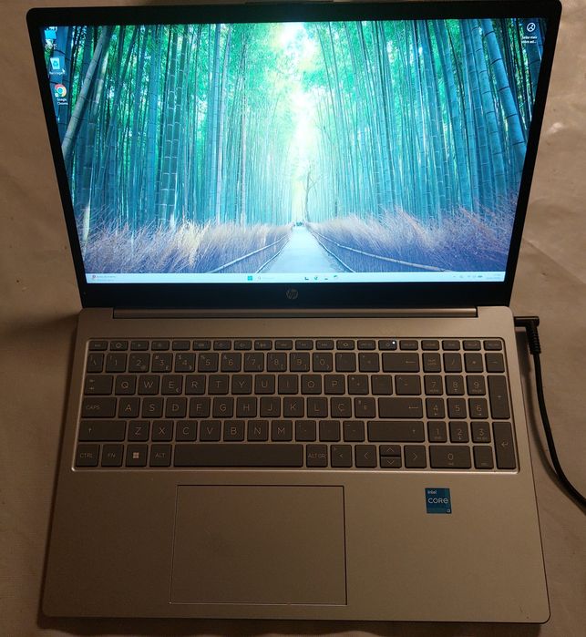 portátil HP 15- fd0098np com Windows 11