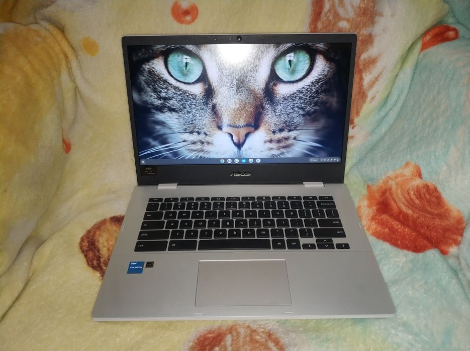 ‼️КОШАЧИЙ НОУТБУК! Asus CX1 CM1, Acer Aspire Хромбук память DDR4, DDR3