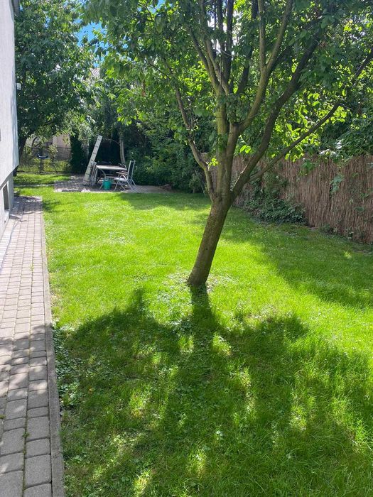 Domowy hotel dla psów, kotów i gryzoni, opieka nad psem - Świdnica