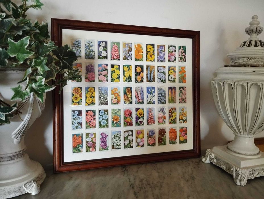 Quadro Flores - Colecção 50 Cartões Cigarros