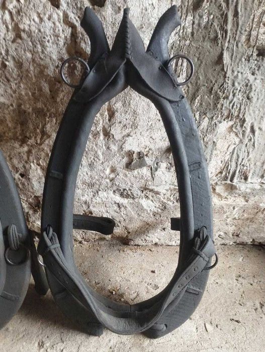 sprzedam chomonta dla konia