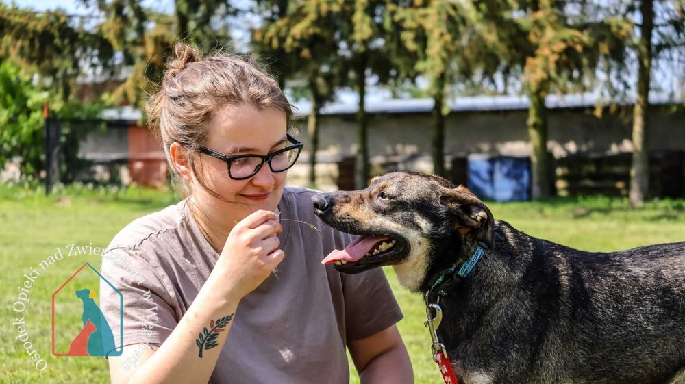 Delikatny, wrażliwy, łagodny, przytłacza go schronisko - adoptuj