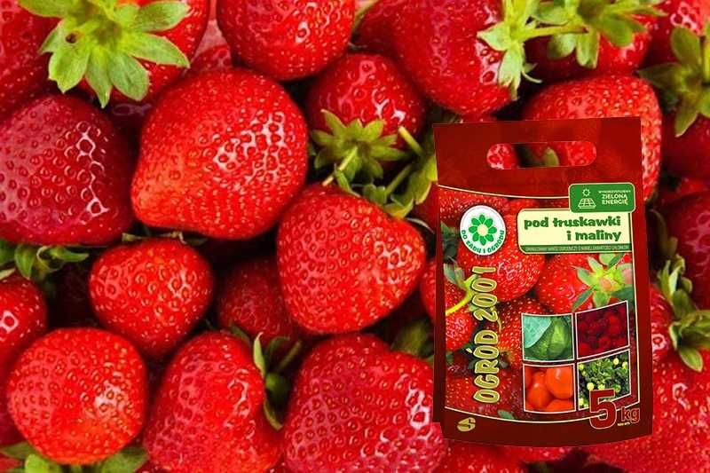 Nawóz pod truskawki i maliny 5kg