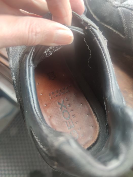 Sapatilhas geox homem