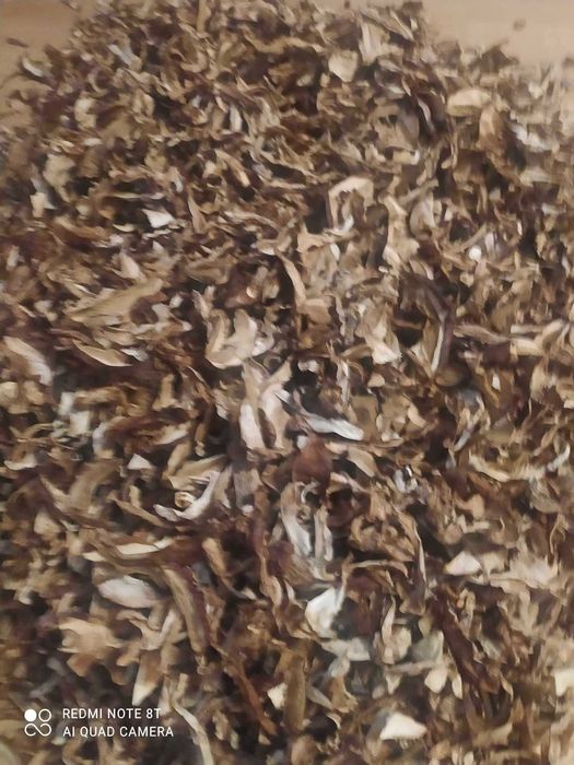 Borowik suszony tegoroczny z lasów na Kaszubach: )