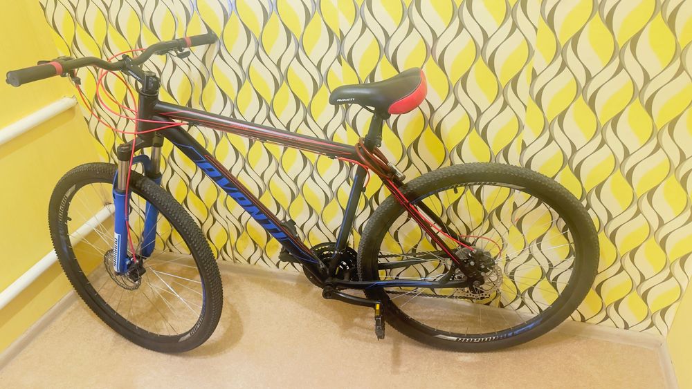 Спортивний велосипед Avanti Sprinter