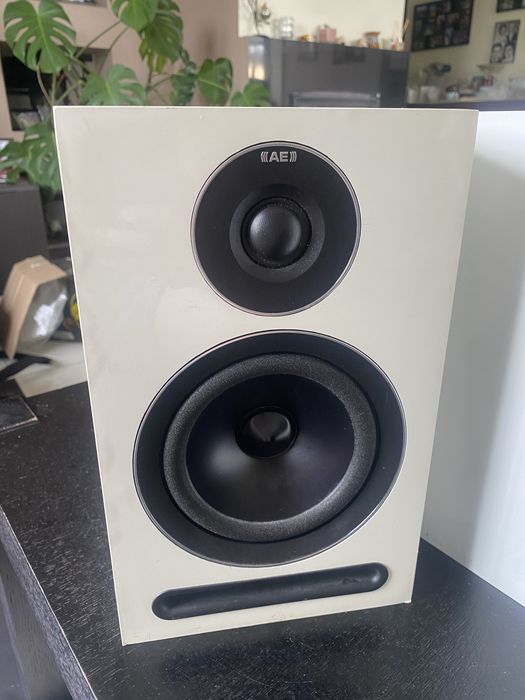 Acoustic Energy AE 101 para