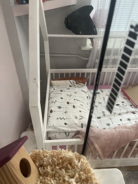 Akwarium terrarium dla chomika