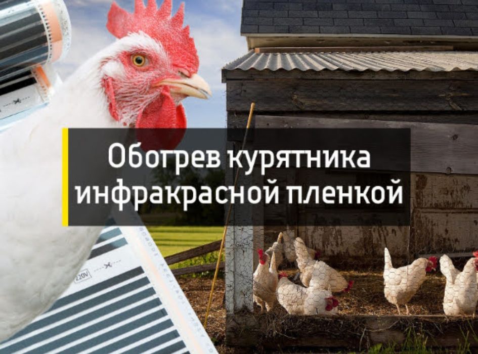 Инфракрасный обогрев для цыплят, кроликов, поросят, индюшат и т.д.
