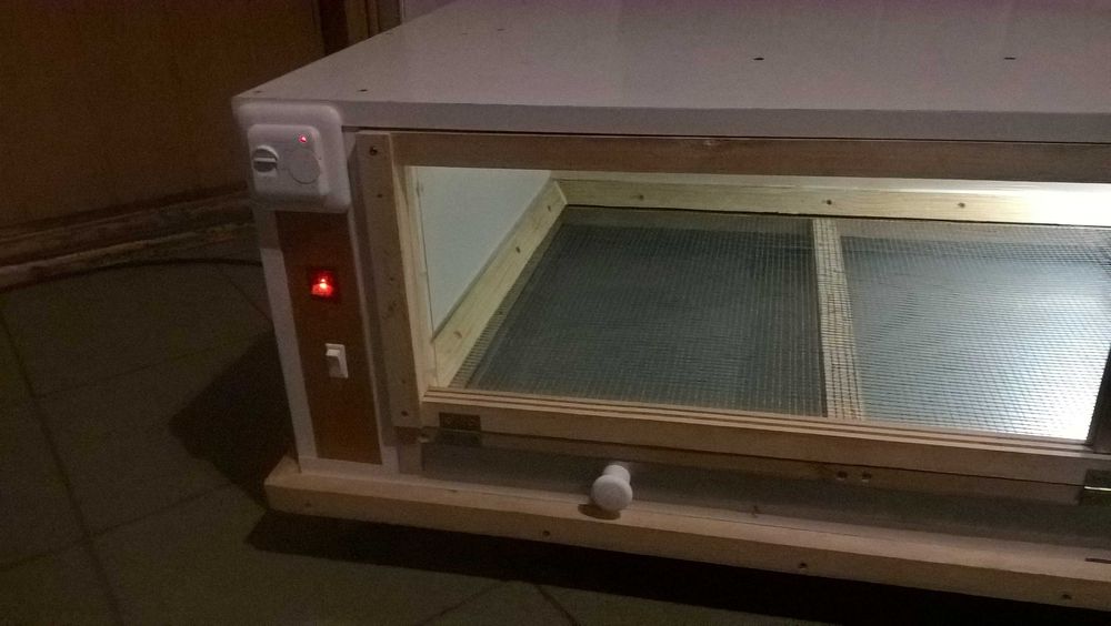 odchowalniki dla kurcząt