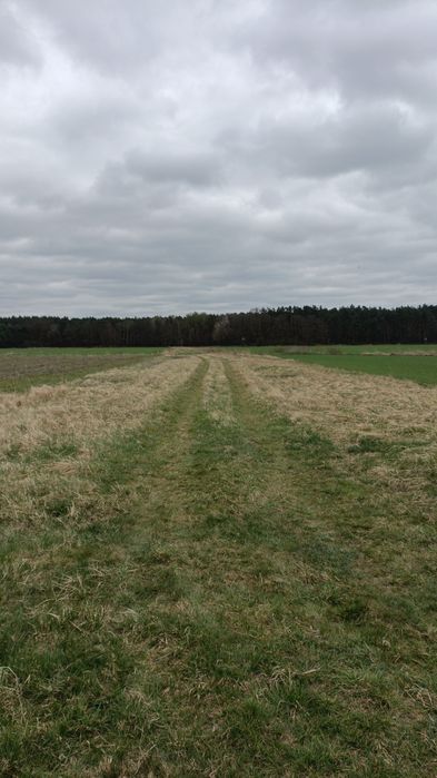 Działka budowlano rolna Kotórz Mały 0,549ha