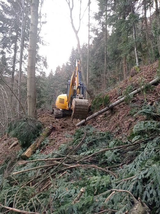 Usługi leśne , Ścinka, zrywka drzew, skup drewna cała Małopolska