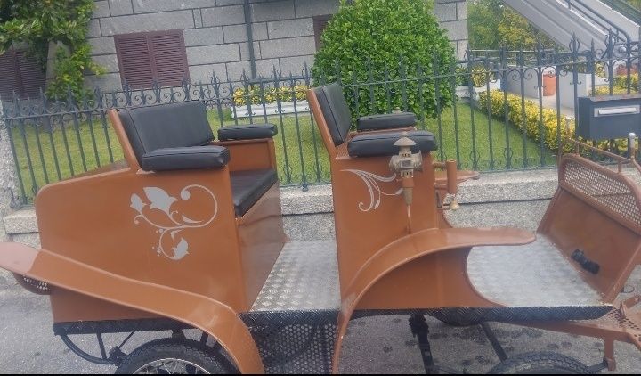 Charrete para 1 ou 2 cavalos