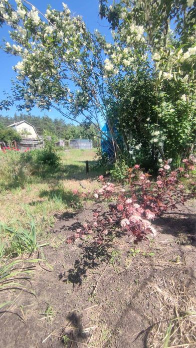 Продам земельный участок с адресом с/о Лесная поляна