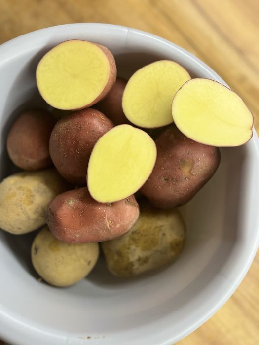 Ziemniaki Soraya,  możliwość sprzedaży  wielkości  sadzeniaka