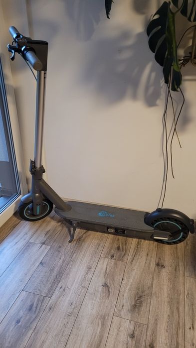 Hulajnoga Motus Scooty 10 2021