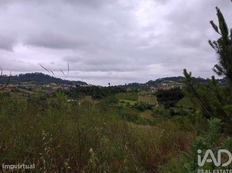 Terreno para construção em Colmeias e Memória de 116,00 m2