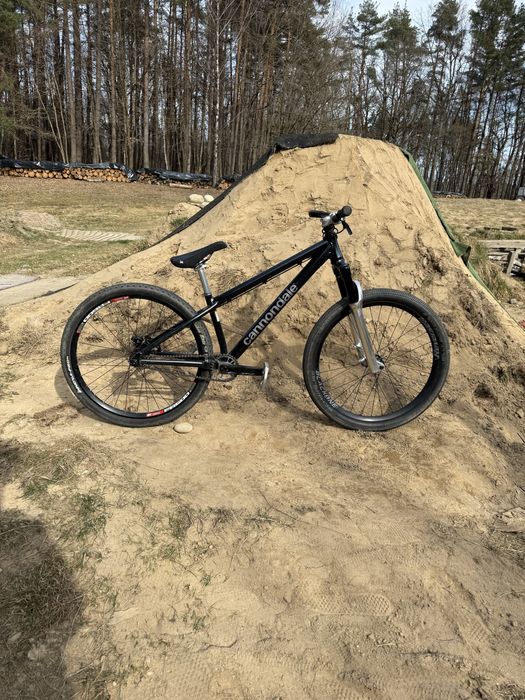 Rower dirt Cannondale Dave (ns dartmoor propain specialized)