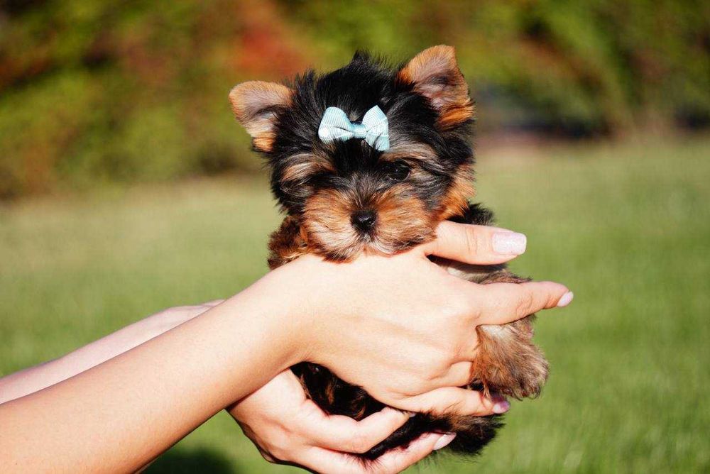 Супер міні і міні,дівчатка і хлопчики