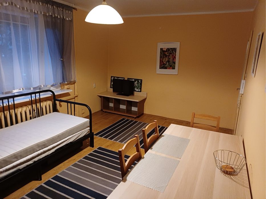 kawalerka-d-biec-27m2-pozna-wilda-olx-pl
