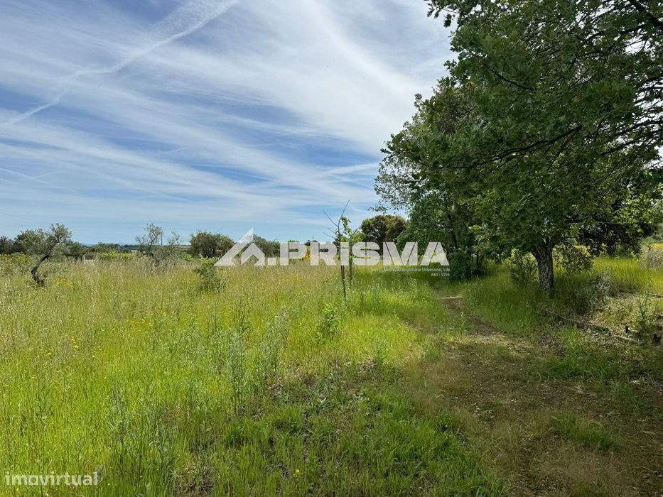 Quinta Excepcional com 9 Hectares para venda em Póvoa da Atalaia — Póvoa De Atalaia E Atalaia Do Campo, Castelo Branco