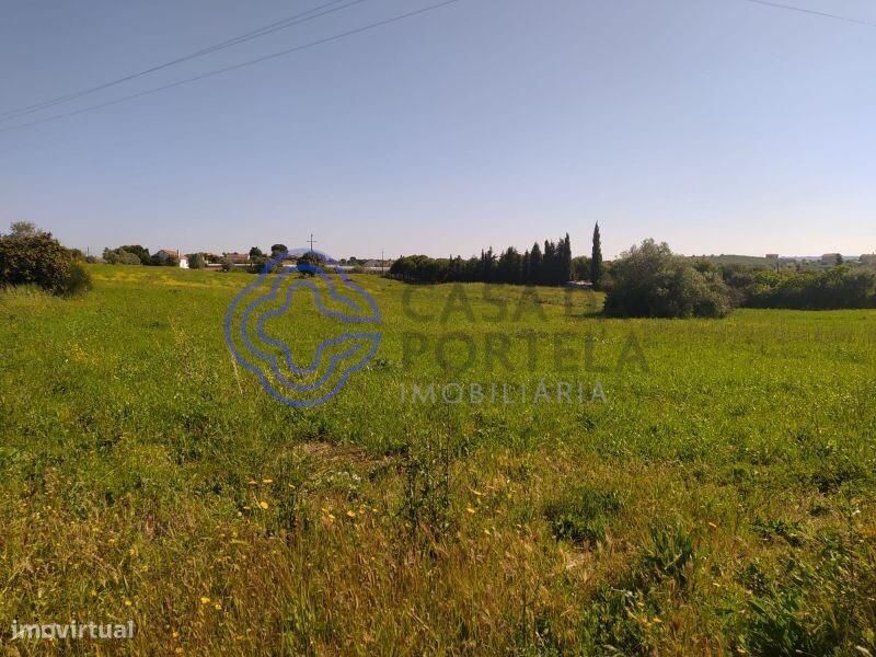 Terreno com 13.700m2 a 5 minutos da cidade de Tomar — Madalena E Beselga, Santarém