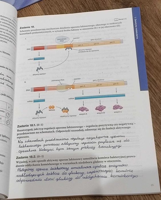 Maturalne karty pracy 4