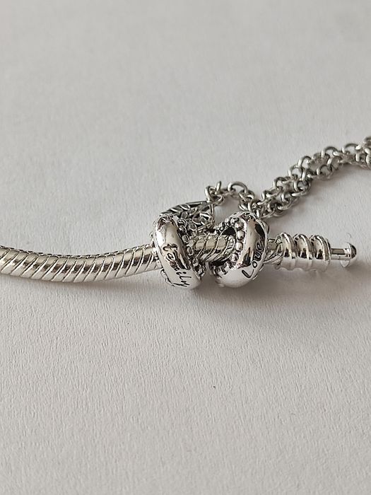 Piękny łańcuszek zabezpieczający srebro drzewo rodziny family love