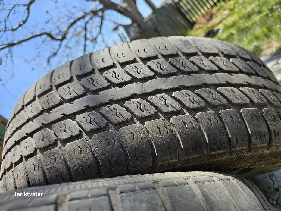 Шини R15 Belshina Бел-99 94H Белшина All season 205/65 R15 всесезонні