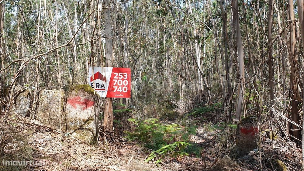 Terreno com 31.040 m2 em Cabeceiras de Basto
