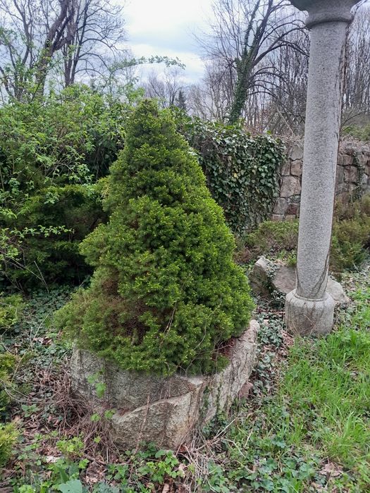 Donica granitowa , donica do ogrodu z kamienia