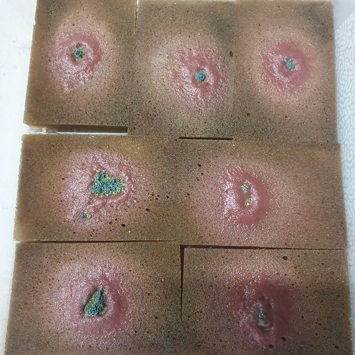 Auruforus pokarm dla rybek