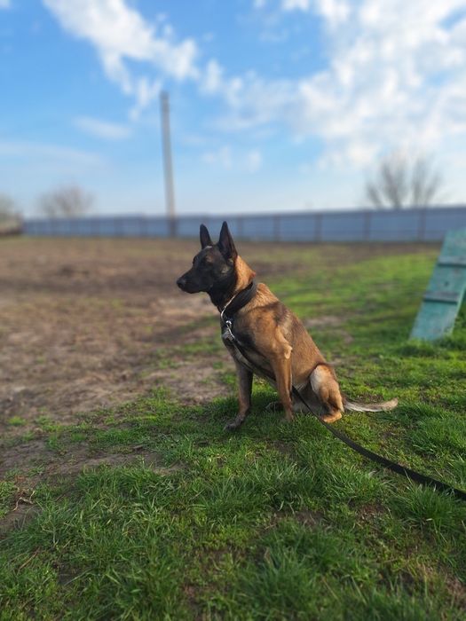 ХЛОПЧИК для вязки