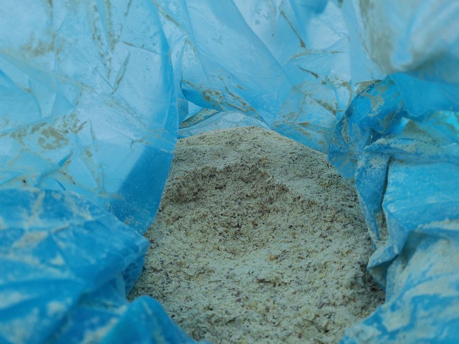 Kukurydza ccm mieloma 2025 Faktura Transport