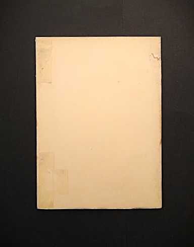 Margarida Futscher - Bens adquiridos